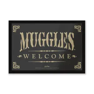 Official Harry Potter Muggles Welcome Entrance Mat 40cm x 60cm dimension, Durable, Indoor Only