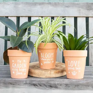 Terracotta Plant Pot With Text Love Grows Here (H16 x W15 cm)