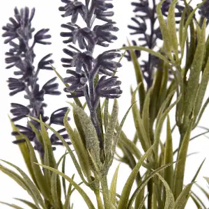 UK Homeliving Small Lavender Spray