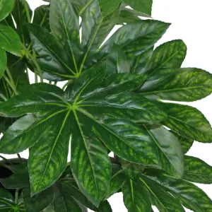 60cm Artificial Japanese Aralia Plant Evergreen