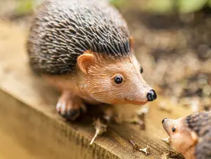 2pc Hedgehog Garden Ornaments Set