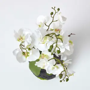 Homescapes White Phalaenopsis Artificial Orchid with Natural Base, 60 cm Tall