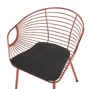 Bonneau Dining Chair (Set of 2) Copper