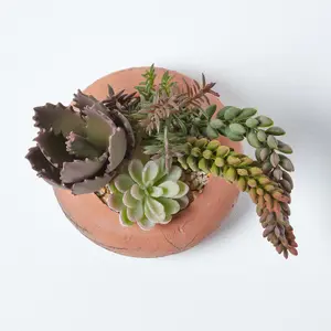 Homescapes Artificial Succulent Arrangement in Decorative Round Terracotta Pot, 15cm Tall