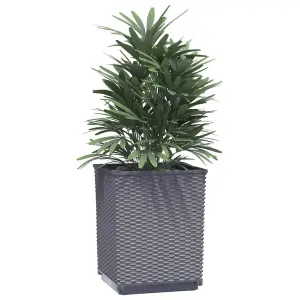 Berkfield Planters 2 pcs Dark Grey 30x30x37 cm Polypropylene