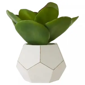 Fiori White Cement Pot Succulent Artificial Plant Foliage