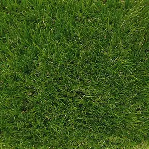 Boundary 30mm Outdoor Artificial Grass,Pet-Friendly Outdoor Artificial Grass-5m(16'4") X 4m(13'1")-20m²