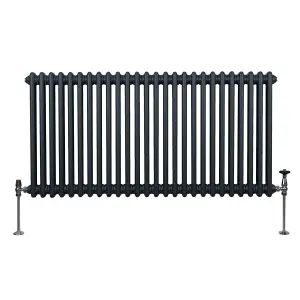 Traditional 2 Column Radiator - 600 x 1192 mm - Anthracite