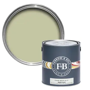 Farrow & Ball Dead Flat Mixed Colour 11 Stone White 750ml