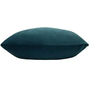 Paoletti Sunningdale Rectangular Velvet Feather Filled Cushion