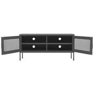 Berkfield TV Cabinet Anthracite 105x35x50 cm Steel