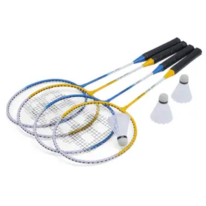 Wilton Bradley Metal Badminton set