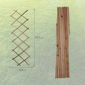 DIVCHI Wooden Trellis Expandable Garden Wall Trellis For Climbing Plants Decoration & Plants Partitioning  Pack Of 3 Natural Wood