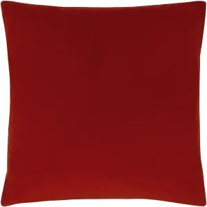 Paoletti Sunningdale Reversible Velvet Polyester Filled Cushion