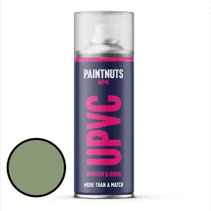 PaintNuts UPVC Door & Window Satin Paint - Pale Green - 400ml Spray Can (RAL6021)