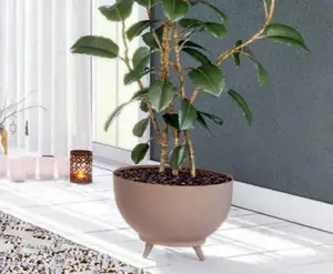 Bowl Planter Plant Pot Legs Oval Flower Modern Decorative Saucer Indoor Outdoor 30cm White ECO with legs