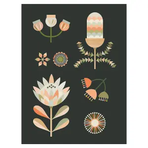 Lyndy Hants Australian Natives II Canvas Print Multicoloured (50cm x 40cm)