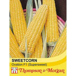 Sweetcorn Ovation F1 1 Seed Packet