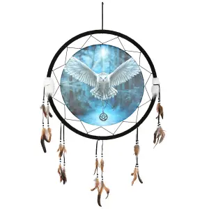 Anne Stokes Awaken Your Magic Dreamcatcher Multicoloured (One Size)