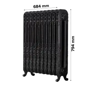 Arroll Daisy Cast iron Black 10 Column Radiator, (W)684mm x (H)794mm