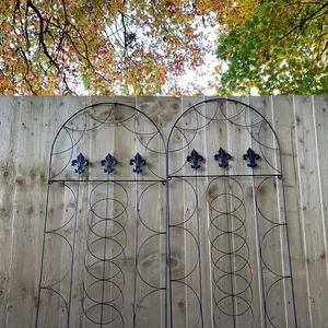 Set of 2 Fleur de Lys Design Metal Trellis (120cm x 50cm)