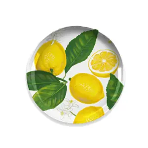 Purely Home Lemon Fresh Melamine Side Plates - Set of 2