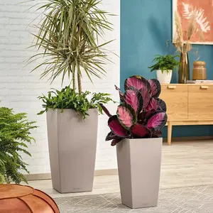 LECHUZA CUBICO Color 56cm Tall Planter,  Sand Brown Self-watering Planter with Water Level Indicator H56 L30 W30 cm, 14L