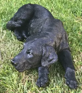 Laying Black Labrador figurine, large (44cm long) realistic home or garden ornament or memorial