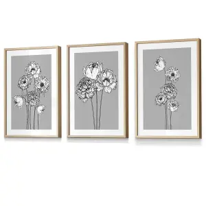 Set of 3 Sketch Art Peonies on Grey Wall Art Prints / 30x42cm (A3) / Oak Frame