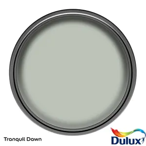 Dulux Easycare Bathroom Tranquil Dawn Soft sheen Wall paint, 2.5L