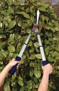 Spear & Jackson 8120RS Razorsharp Telescopic Hedge Shears