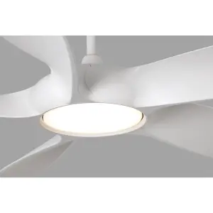 Luminosa Cocos LED Large Ceiling Fan White