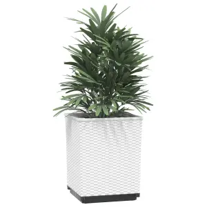 Berkfield Planters 2 pcs White 30x30x37 cm Polypropylene