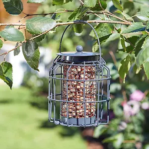 Squirrel Proof Peanut Bird Feeder