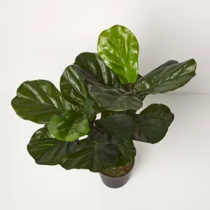 Homescapes Artificial Fiddle Leaf Fig Tree in Pot, 75 cm Tall