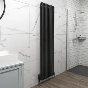 Nes Home 1800 X 470 mm Double Column Matte Black Radiator