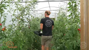 18ft x 60ft Large Commercial Heavy Duty Polytunnel Kit - Professional Greenhouse