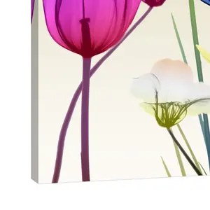 Floral Calm Pop Mate - Wrapped Canvas Print 30 cm H x 30 cm W