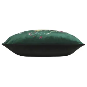 Evans Lichfield Midnight Garden Velvet Piped Feather Filled Cushion