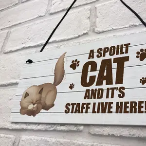 Novelty Funny Cat Sign Pet Sign Pet Gift For Family Home Decor Gift Keepsake