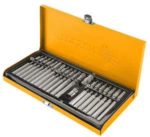 Tolsen Tools Screwdriver Bit Set 40 Pcs (Torx/Hex/Spline) In Metal Case