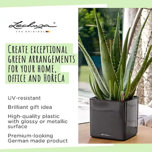 LECHUZA CUBE Glossy 14 Sunny Yellow High-Gloss Table Self-watering Planter with Water Level Indicator H14 L14 W14 cm, 1.4L