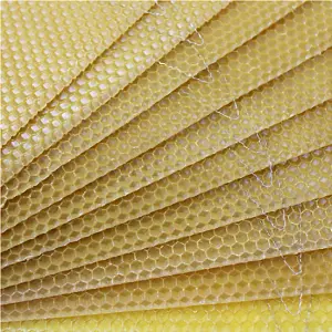 National Beehive Standard Brood Wired Wax Foundation x 10pcs