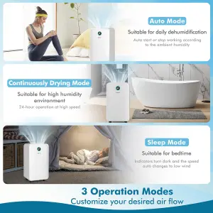 Costway 12L/Day Electric Dehumidifier Home Portable Air De-Humidifier