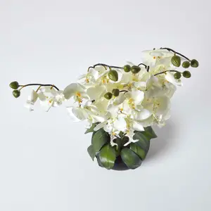 Homescapes Large Oriental Style Cream Orchids in Black Bowl