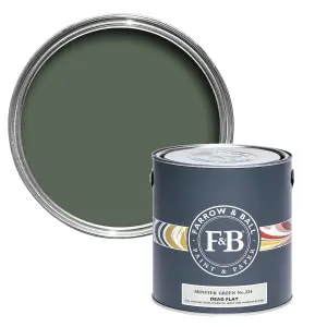 Farrow & Ball Dead Flat Mixed Colour 224 Minster Green 5 Litre