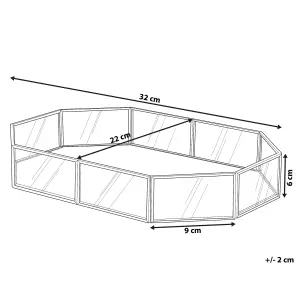 Beliani Glam Tray CHABRIS Mirrored Silver