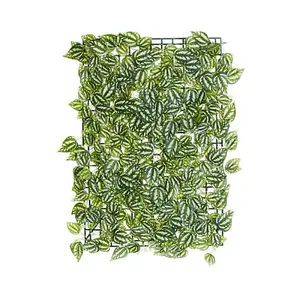 Ivy Leaf Screening Panel Trellis 60cm x 40cm