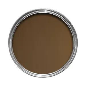 Craig & Rose Artisan Bronze Gold effect Mid sheen Topcoat Special effect paint, 2.5L