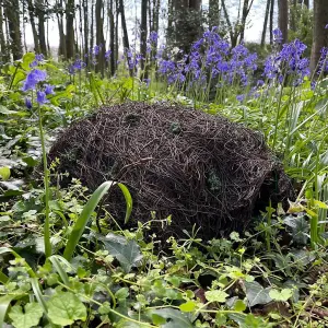 Brushwood Hogitat Hedgehog House Shelter